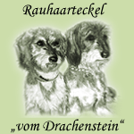 Logo - Rauhaarteckel "vom Drachenstein"